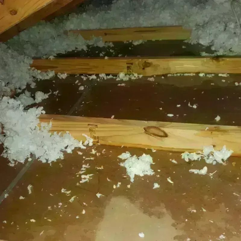 Attic Water Damage in Arvin, CA